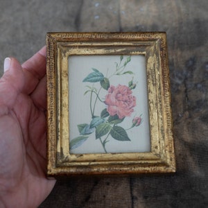 Può includere: Piccola stampa incorniciata rettangolare con una rosa rosa con foglie e boccioli verdi. La cornice è dorata con una finitura anticata, che aggiunge un'estetica vintage. L'opera d'arte è un'illustrazione botanica.