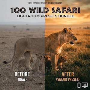 May include: An image showcasing a Lightroom presets bundle for wildlife photography. The image is split, showing a before and after comparison of a lioness and cubs in a savanna setting. Text at the top reads "100 WILD SAFARI LIGHTROOM PRESETS BUNDLE."