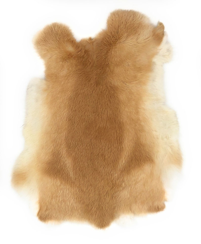 1 Pcs Natural color Rabbit Fur Pelts Craft Grade Assorted Etsy