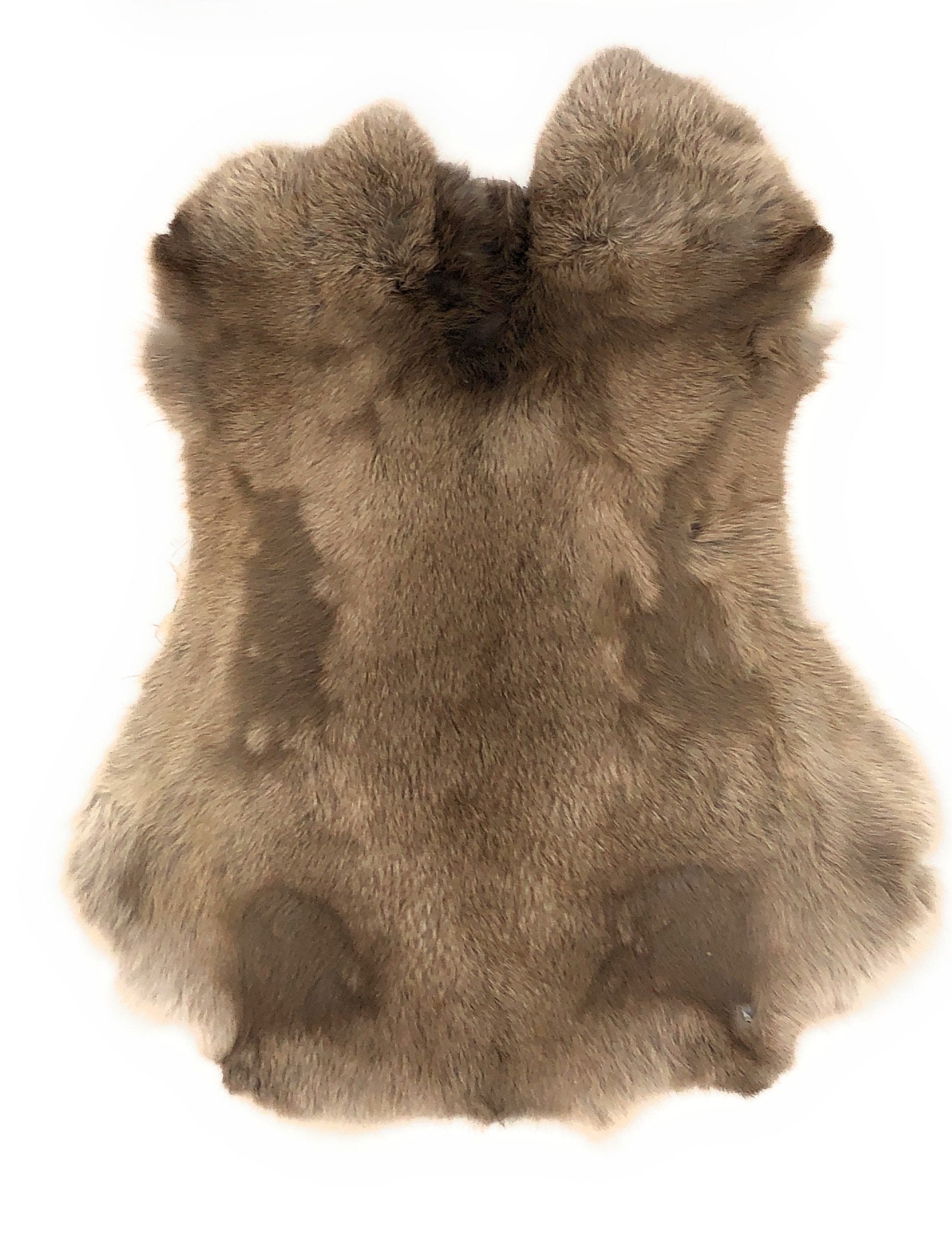 Rabbit Pelt  Natural Selection Store - Purveyors of all things