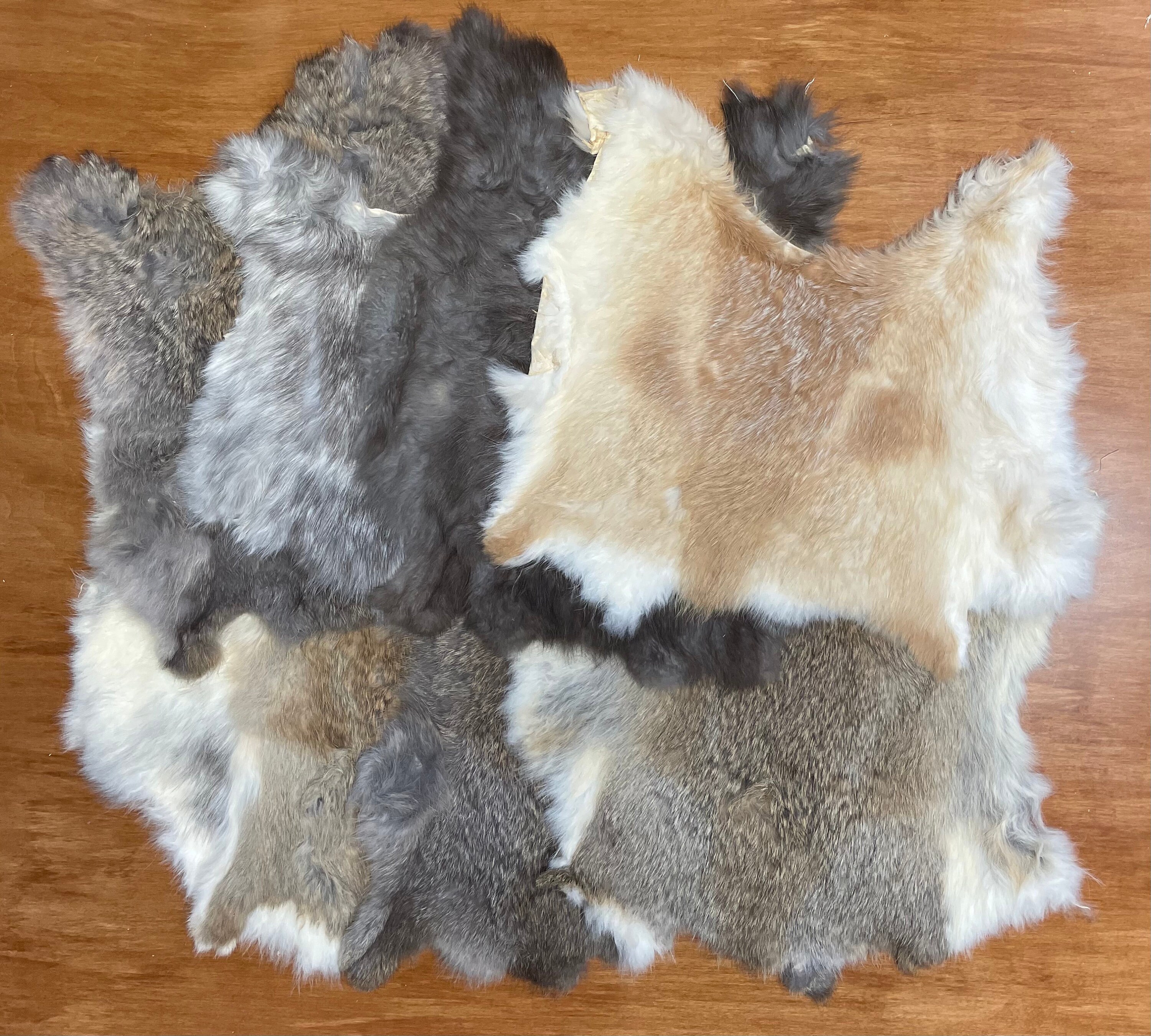 VERY low grade junk rabbit skins CHEAP! 10 Pieces