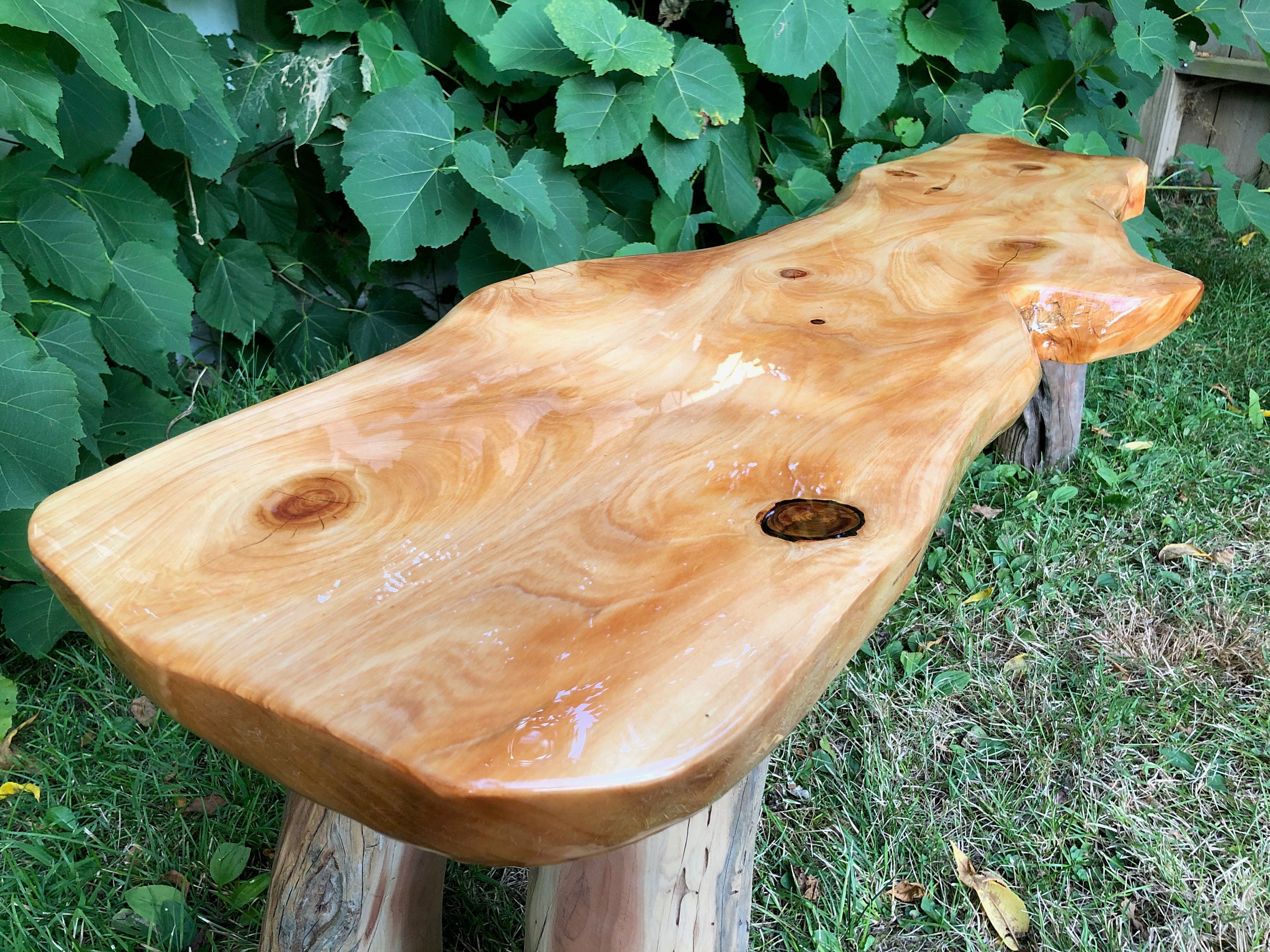 Live Edge Cypress Coffee Table NO SHIPPING Florida Etsy