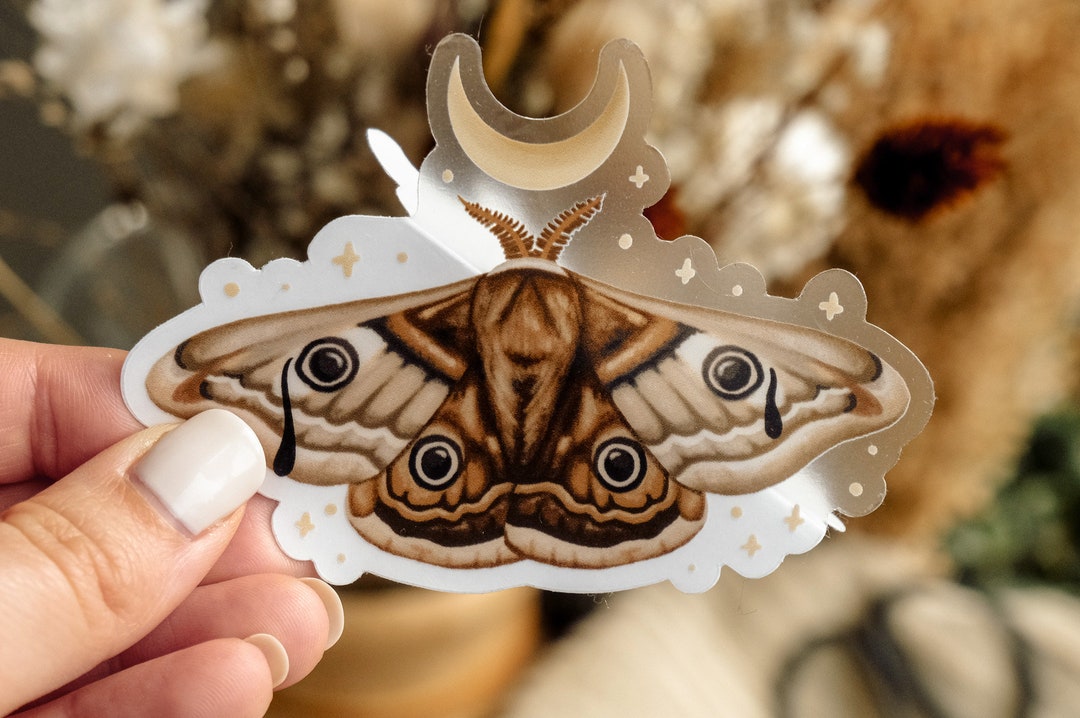 Moon Moth Sticker Moon Moth Sticker Night Gardener Vinyl, Clear, Matte Nature Star ...