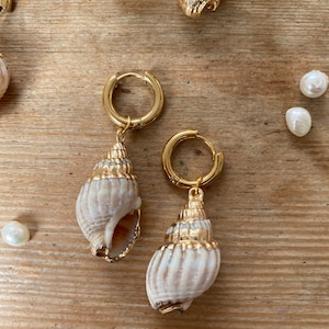 Shell earrings with gold rim, gold hanging earrings, earrings women, beach shell earrings
