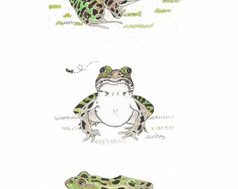 Leopard frog collection, 8x10 inch animal print