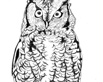 Eastern Screech Owl print (5x7)