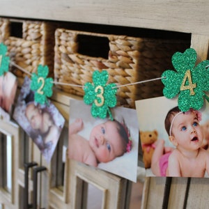 St. Patrick's Day Birthday Decorations, Shamrock Banner, St Patty's Day Decorations, St. Patrick's Day Party, Lucky One Birthday Decorations