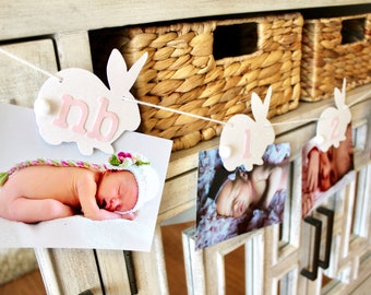 Some Bunny is One Birthday Decorations, Bunny Banner, Some Bunny Birthday, Easter Birthday Party, Bunny Birthday Party, Bunny 1st Birthday
