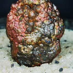 209g Top Premium Iridescent Goethite  Turgite