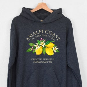 Amalfi Coast Hoodie, Italian Limone Hoodie, Europe Vacation Hoodie,Italy Quotes Hoodie, Positano Hoodie, Italy Trip Hoodie, Gift For Italian