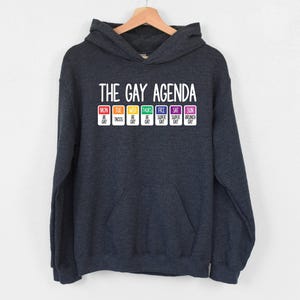 The Gay Agenda Hoodie, Funny LGBTQ Hoodie, Pride Rainbow Gift, Bisexual Hoodie, Equality Hoodie, Pride Couple Hoodie, Super Gay Hoodie, Girl image 1