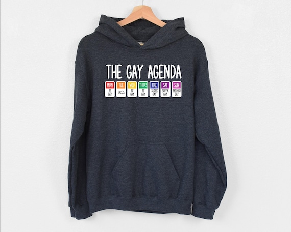 The Gay Agenda Hoodie, Funny LGBTQ Hoodie, Pride Rainbow Gift, Bisexual Hoodie, Equality Hoodie, Pride Couple Hoodie, Super Gay Hoodie, Girl