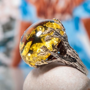 Large Baltic Green Amber Tree Ring with Natural Crust, Authentic Rare Gemstone Jewelry