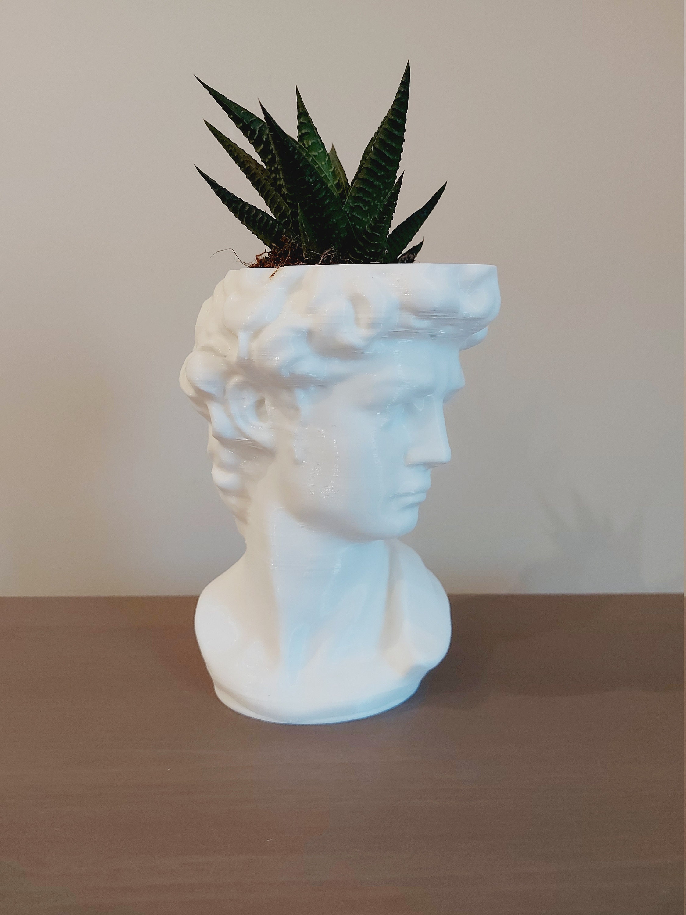 David Statue Bust Planter Etsy