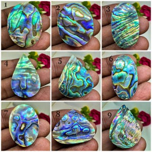 Naturlig Abalone Shell Cabochon Parti | Paua Shell Ädelsten | Skimrande Lös Snäcka för Smyckestillverkning |