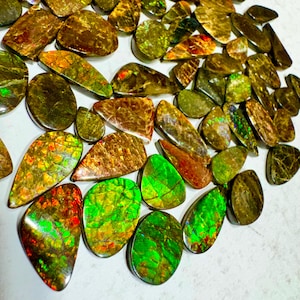 AAA+ Ammolite Cabochon Gemstone: Canadian Quality Healing Crystal