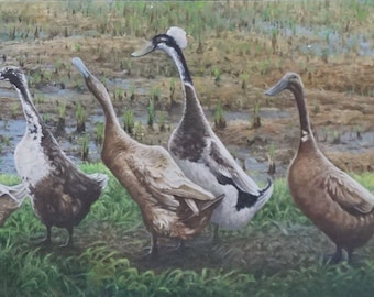 Animal Painting, Duck Painting, Original Painting