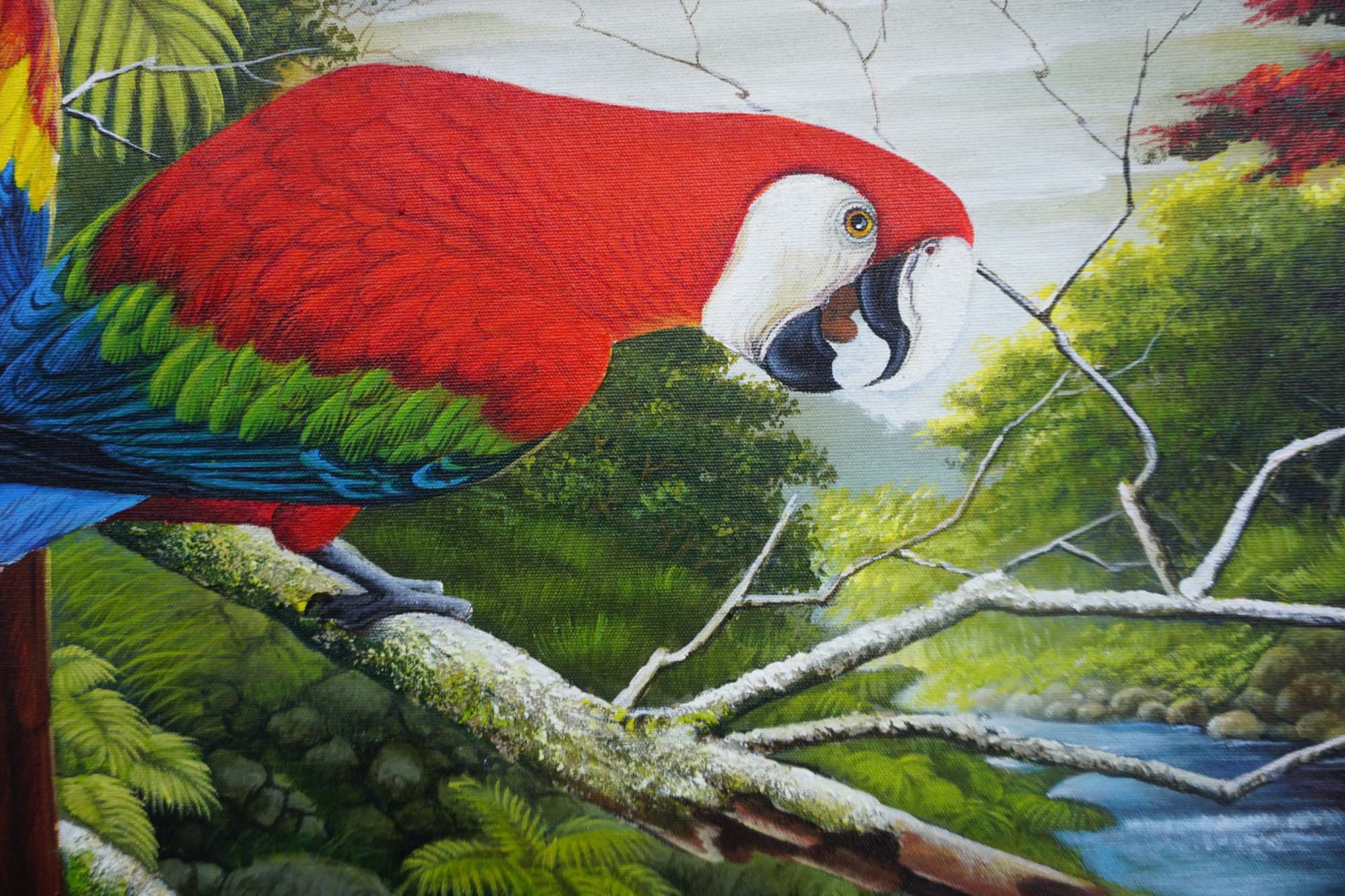 アカコンゴウインコの油絵：ジャングルの鳥のオリジナルアート - Etsy 日本