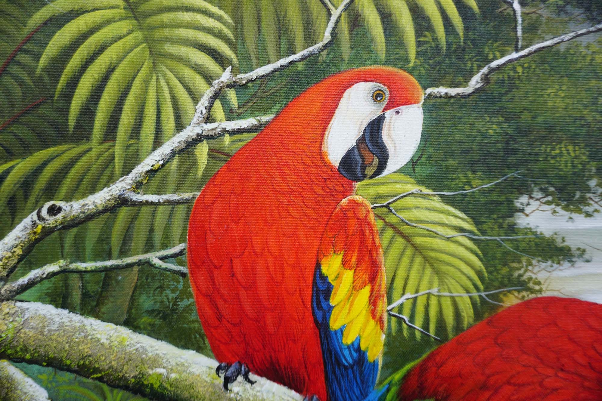 アカコンゴウインコの油絵：ジャングルの鳥のオリジナルアート - Etsy 日本