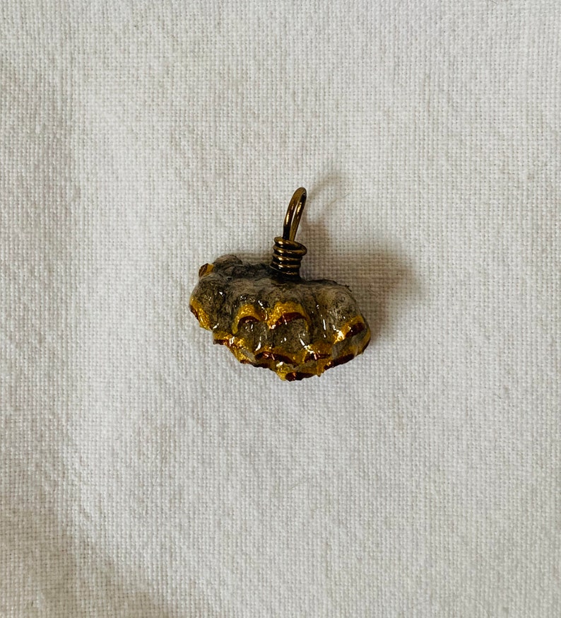 Bronze /& Gold Touched Wasp a nest Pendant b