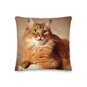 Decorative Cushion / Pillow Brown Cat