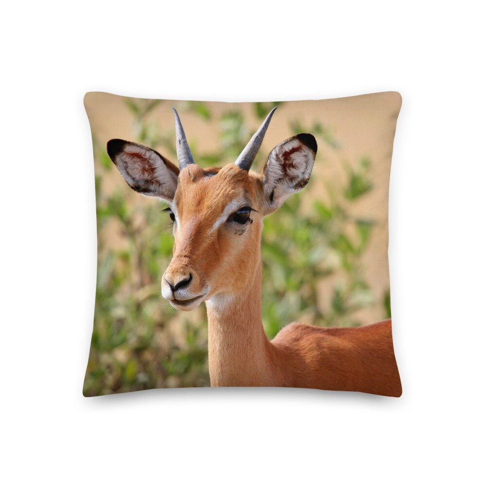 Coussin Décoratif Antilope Impala