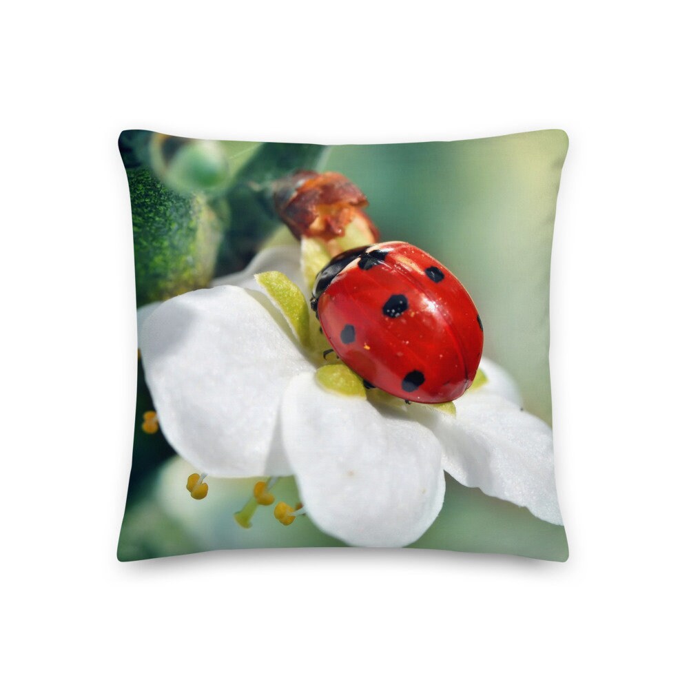 Coussin Décoratif Coccinelle sur Une Fleur