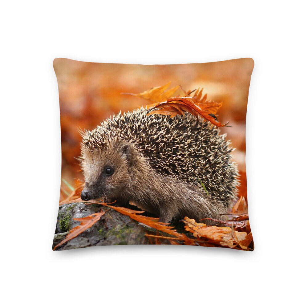 Coussin Décoratif Hérisson