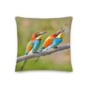Decorative Cushion / Pillow Bee-eating Birds