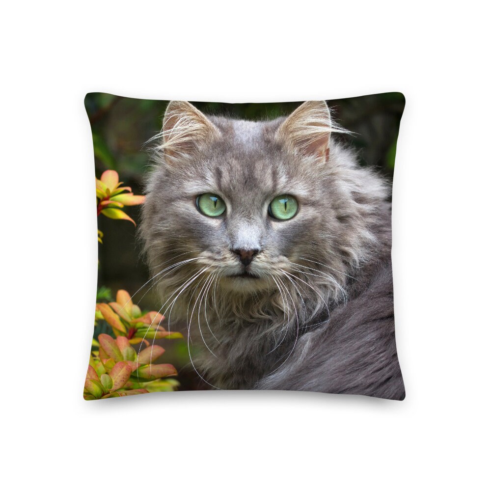 Coussin Décoratif Chat Gris