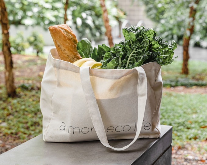 Canvas Shopping Tote with 2 Free Produce Bags | Large Organic Cotton Shopping Bag with Pockets