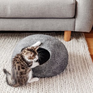 Young Jimmy hugging his new cave.  He was obsessed with it when he first got it.
