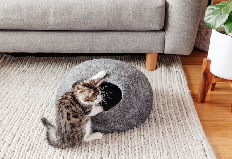 Young Jimmy hugging his new cave.  He was obsessed with it when he first got it.