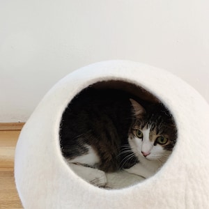 Grown-up Jimmy looking oh-so-snug in a large white cave.