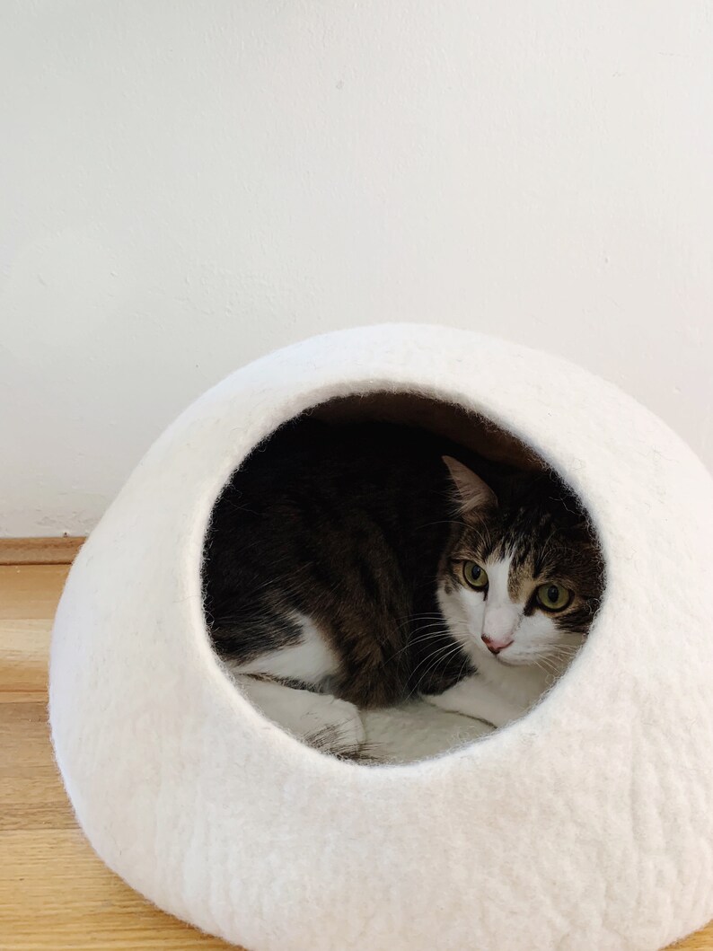 Grown-up Jimmy looking oh-so-snug in a large white cave.