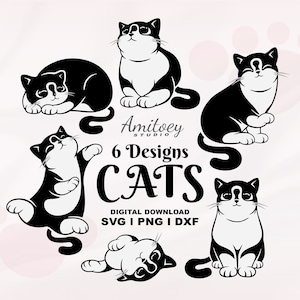 6 Designs Cats vector for Digital download, Kitten, Pet, Clip art, T-shirt, Cup, bag, Sticker, Mug, and Craft l SVG, PNG, DXF files.
