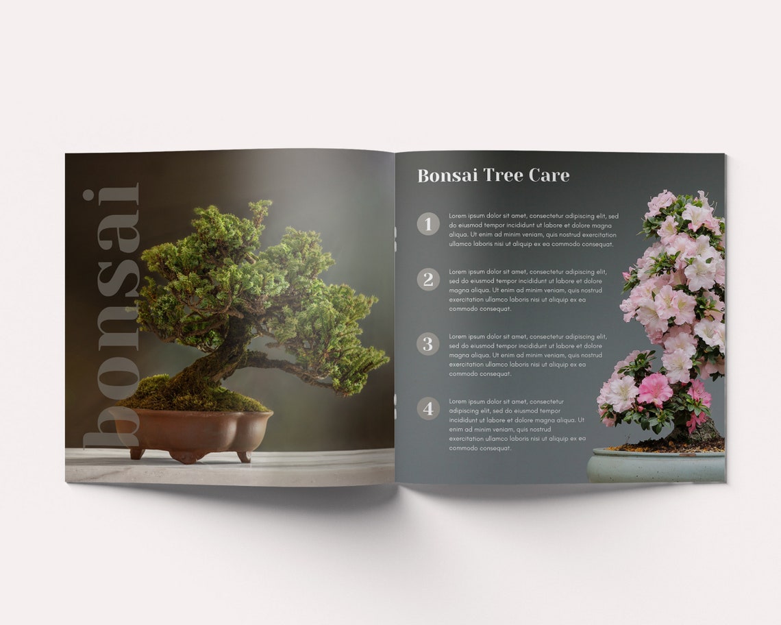 canva-product-brochure-canva-product-catalogue-canva-etsy-australia