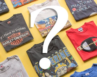 Mystery Vintage T-Shirt Pack, Unisex Tees, 90's, 80's, Y2k