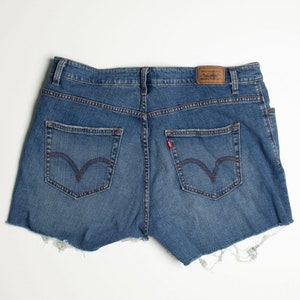 Vintage Levi's Short 2
