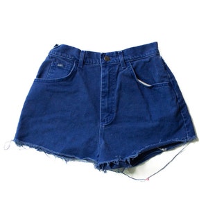 Vintage Blue Cutoff Denim Shorts (sz. 10 Pet.)