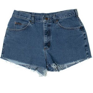 Vintage Lee Denim Cutoff Shorts (Sz. 34)