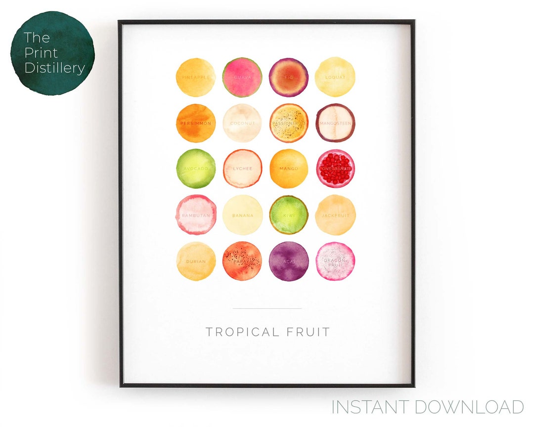 Tropical Fruit Chart | Printable Food Wall Art, Modern Minimalist ...