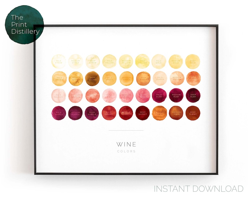Wine Color Chart Horizontal Printable Wall Art Modern Etsy