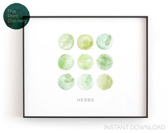 Herb Color Chart | Printable Horizontal Wall Art, Modern Minimalist Watercolor Print for the Kitchen, Bar or Living Room | INSTANT DOWNLOAD