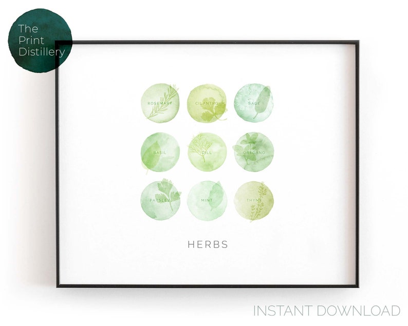 Herb Color Chart Printable Horizontal Wall Art Modern Etsy