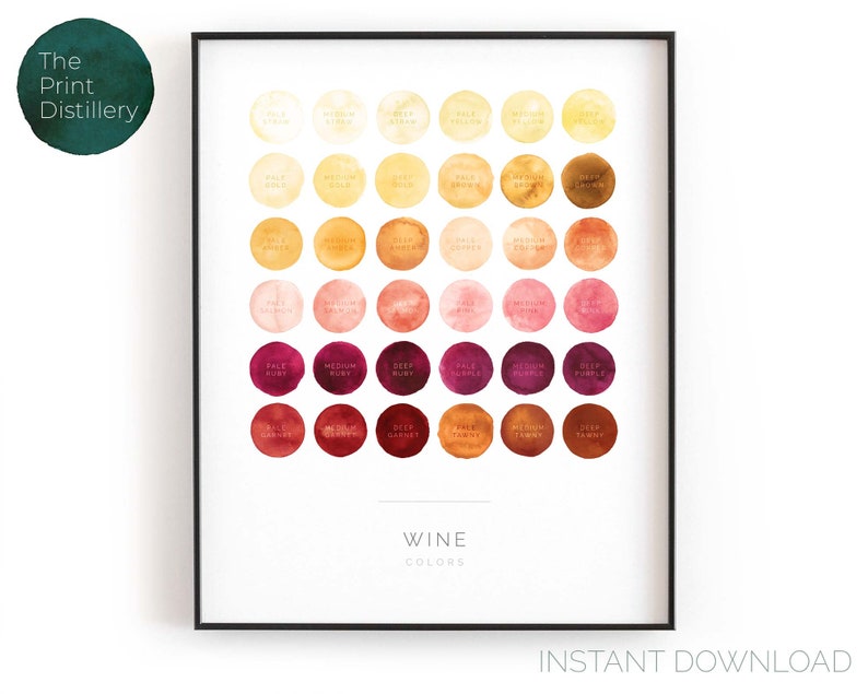Carta de colores de vino / Arte de pared imprimible vertical, impresión de acuarela minimalista moderna para la cocina, el bar o la sala de estar / DESCARGA INSTANTÁNEA imagen 1