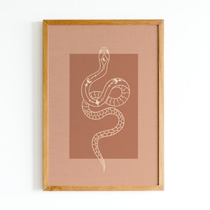 May include: A framed print with a minimalist design of a white snake with celestial symbols on a terracotta background.