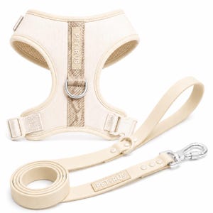 Ivory Cream Python Snake Dog Harness and Biothane Leash Set: Adjustable No-Pull Neoprene, Luxury, Easy Clean, Stylish Training Vest
