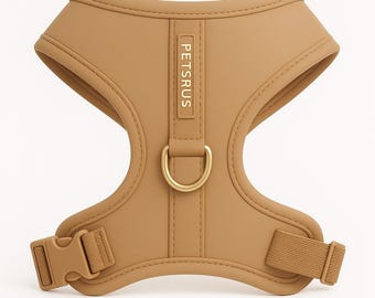 Beige Neoprene Dog Harness | No-Pull Adjustable Padded Vest | Champagne Gold Hardware Breathable Mesh Everyday Walking Gear