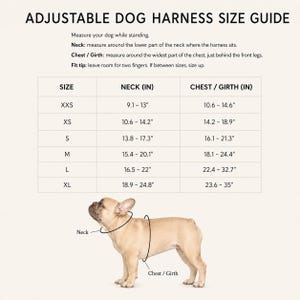 Neoprene No Pull Dog Harness | Adjustable Padded Vest with Dual Leash Clips | Soft Mesh Breathable Everyday Walking Gear Neutral Colors image 2